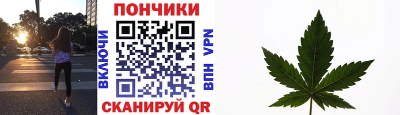 Продажа наркотиков Вытегра Конопля  Меф мяу мяу  A-PVP  ГАШ  Кокаин 