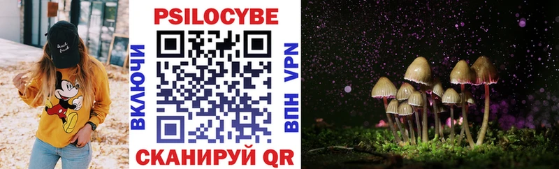 Галлюциногенные грибы Psilocybine cubensis  omg вход  Вытегра 